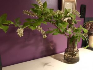 E0DC115B-0EE6-4520-A1C2-9395CBEBC273