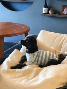 FA79CE0C-C6DD-4C9C-8A88-E49A309C2183