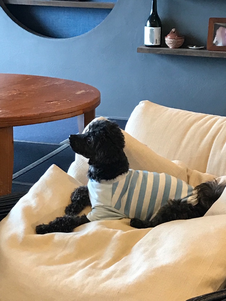 現場見学バスツアーでの癒しのひととき