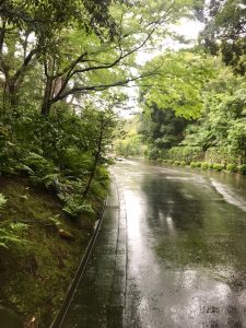 65156BD5-91AA-4EBC-B2EF-3E1860CF264B