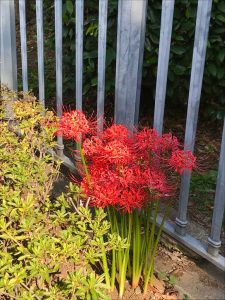 7F5CC90D-1A2A-4EAF-BB19-F42364A6F8CA