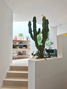 D8FC86B6-7C22-4C05-9C3F-9E8C1897AC29