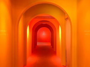 1920D75F-CD00-4622-A73B-740C8F299E9E