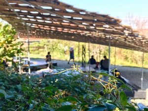 0464CB63-C8F9-4480-869D-5FCCD8EA825D