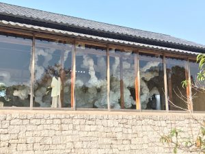 41D978A3-112B-4AB7-8406-E0BF01FB79D2