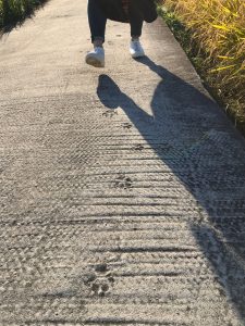 9E5DDB6B-5CD8-40C2-8844-3D4A90C92A4A