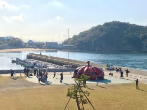 BE6CF583-57D9-4D11-8D32-B566DD857BE6