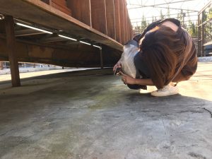 C8AFB7CF-4ABC-443C-9232-36A9E1276BD4