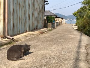 C9F5930F-B6CC-42BB-B792-67B5F1963F40