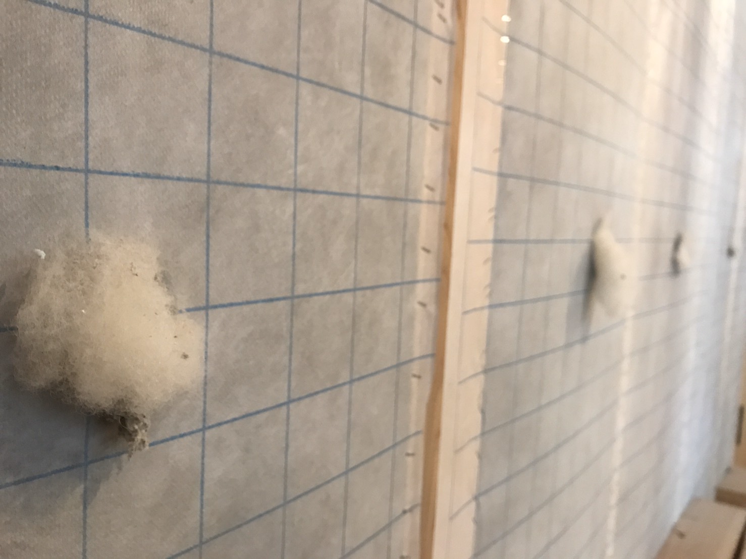 passiv designのお家進行中♪