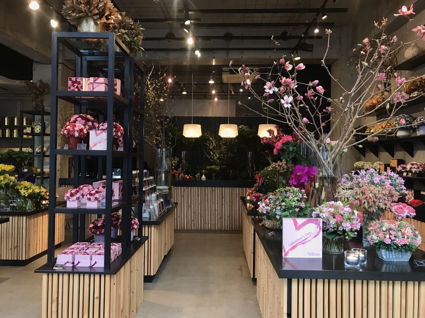 ニコライバーグマンのカフェへ❁︎