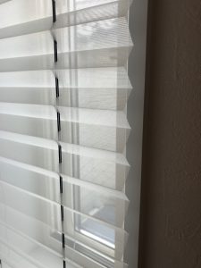 BBD09B10-65EB-4865-9FB0-AC9B3CE7392A