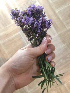 7C4B7913-52C0-46A0-AF48-C4F116F20433