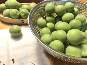 9205984A-5687-4D72-B60A-AAE17DF3B855