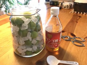 93FF81EB-7FE6-4F0D-B8F7-D8239D9E9DF8