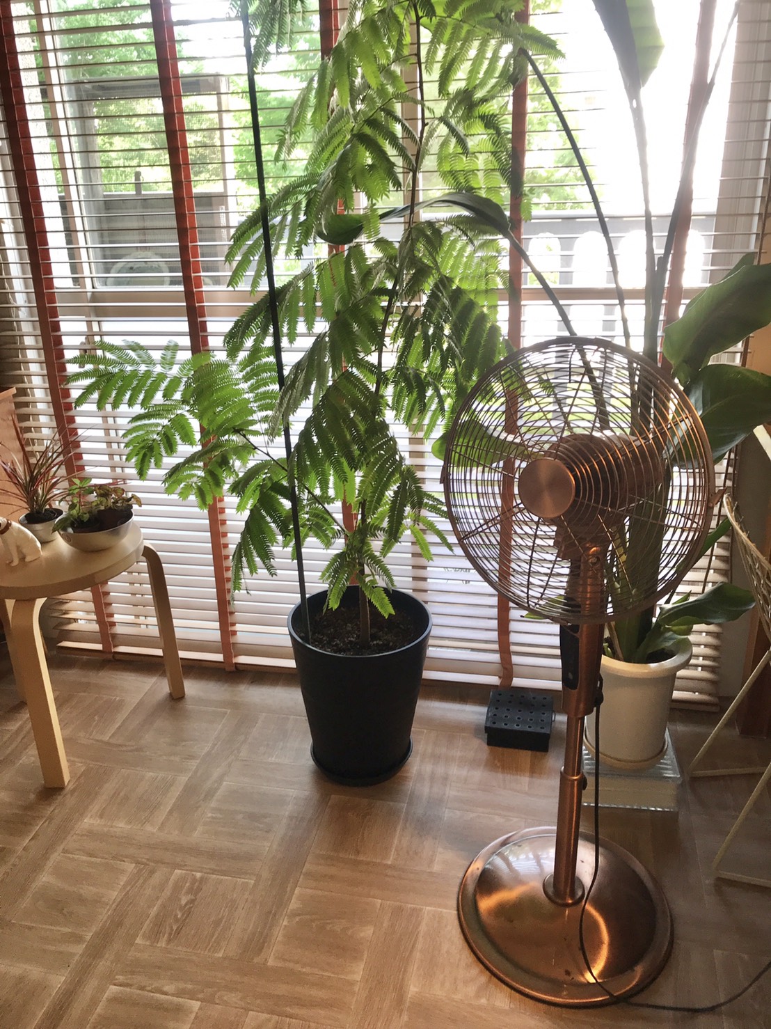 夏支度♪自然素材の菊花線香を取り入れてみました🌀