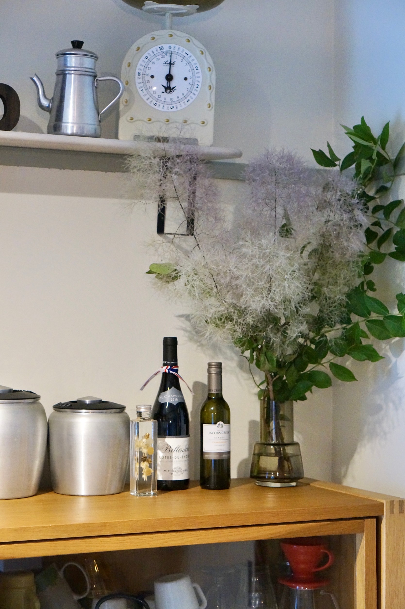 家中グリーンだらけです🌱