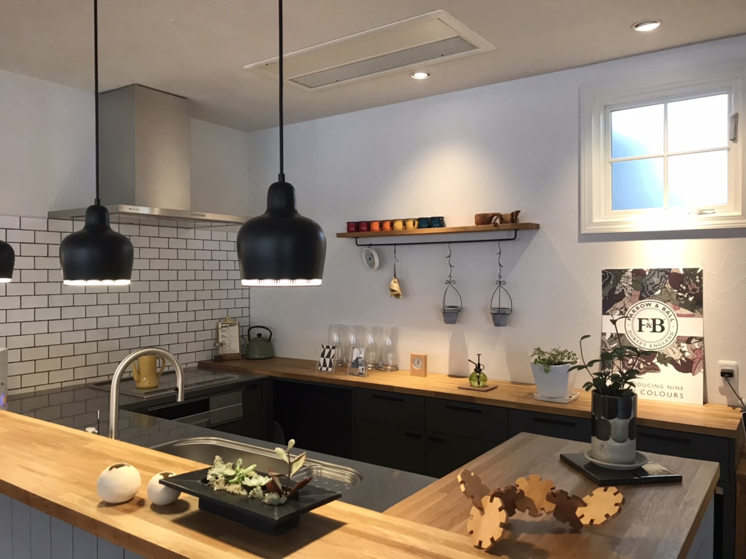 スタジオにエアプランツをハンギング🌱