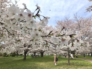 200FD125-D853-4B9B-8512-41CD61F07395