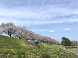 52245B57-C626-4A19-B214-105DCF4C4CC6