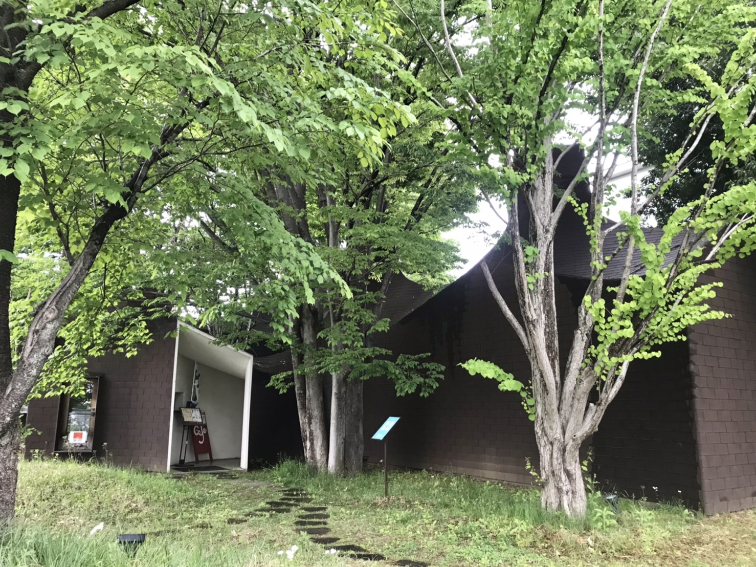 素敵な建築でいただくランチ♪