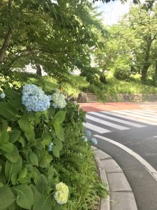 E02D4710-2979-4780-A157-5711233AAFE4