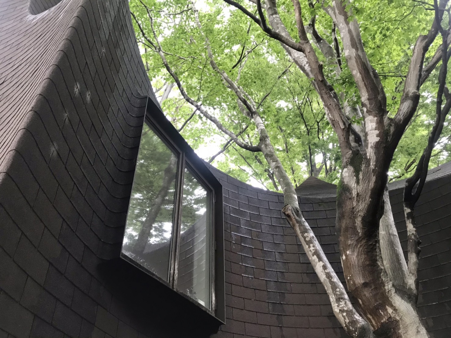 素敵な建築でいただくランチ♪