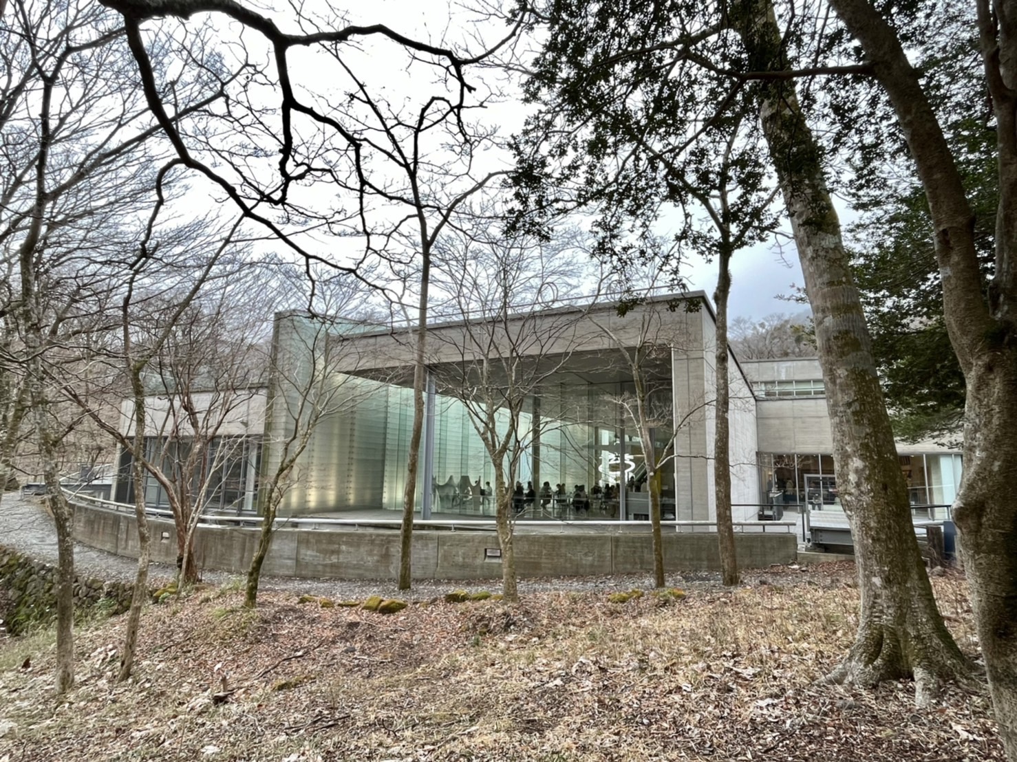 久しぶりの美術館巡り♪