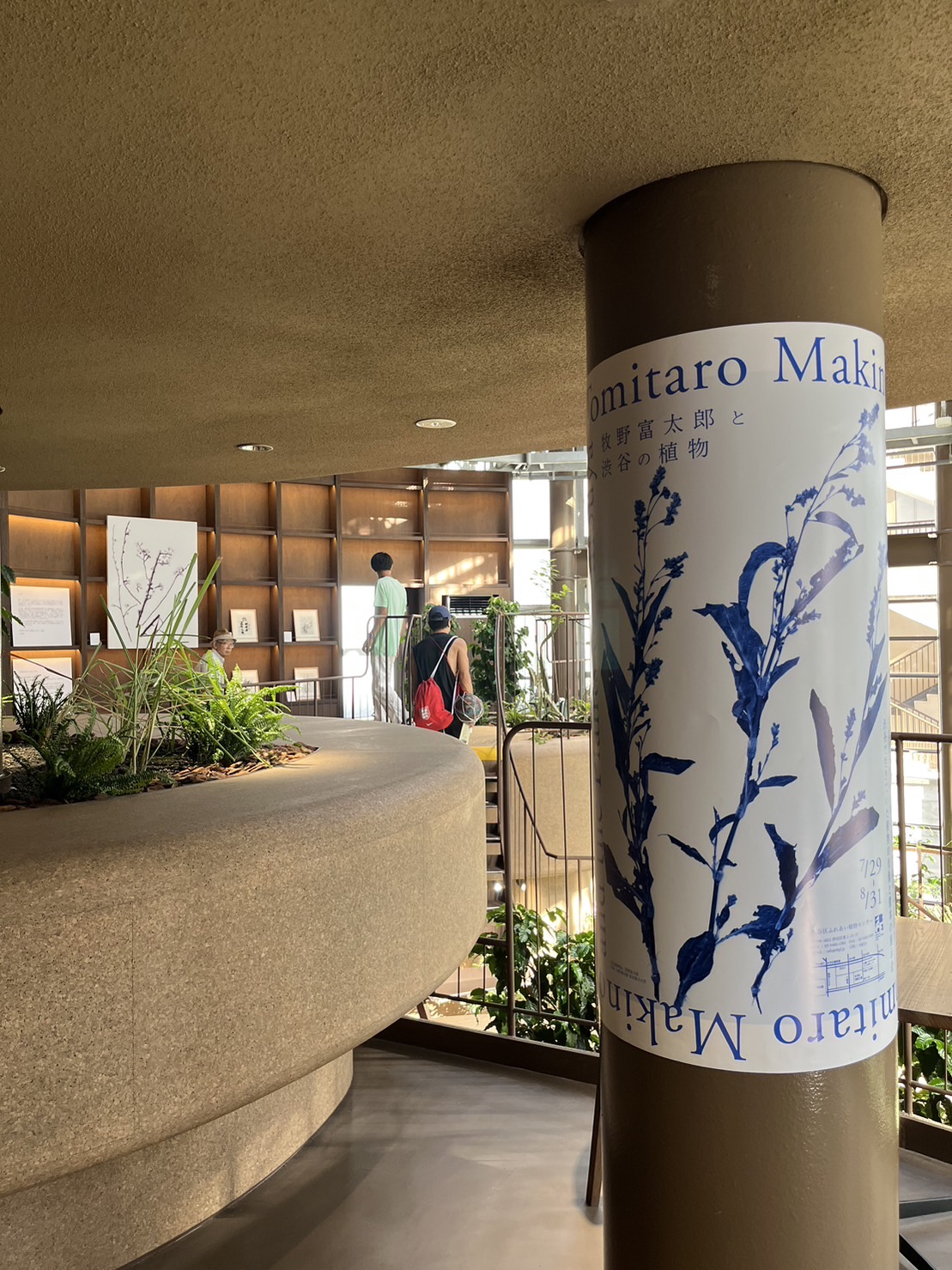 日本一小さい植物園へ🌱