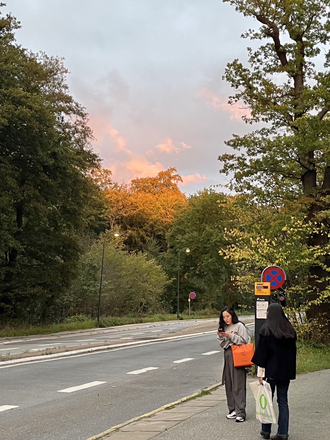 ＊北欧研修＊11 〜デンマーク編〜オードロップゴー美術館とフィンユール邸