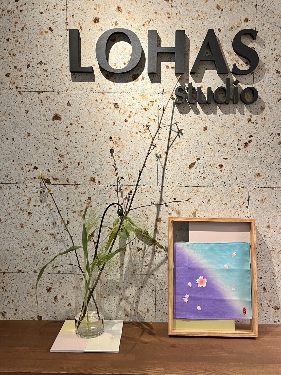 LOHASstudio新宿店・4月のディスプレイ🌸