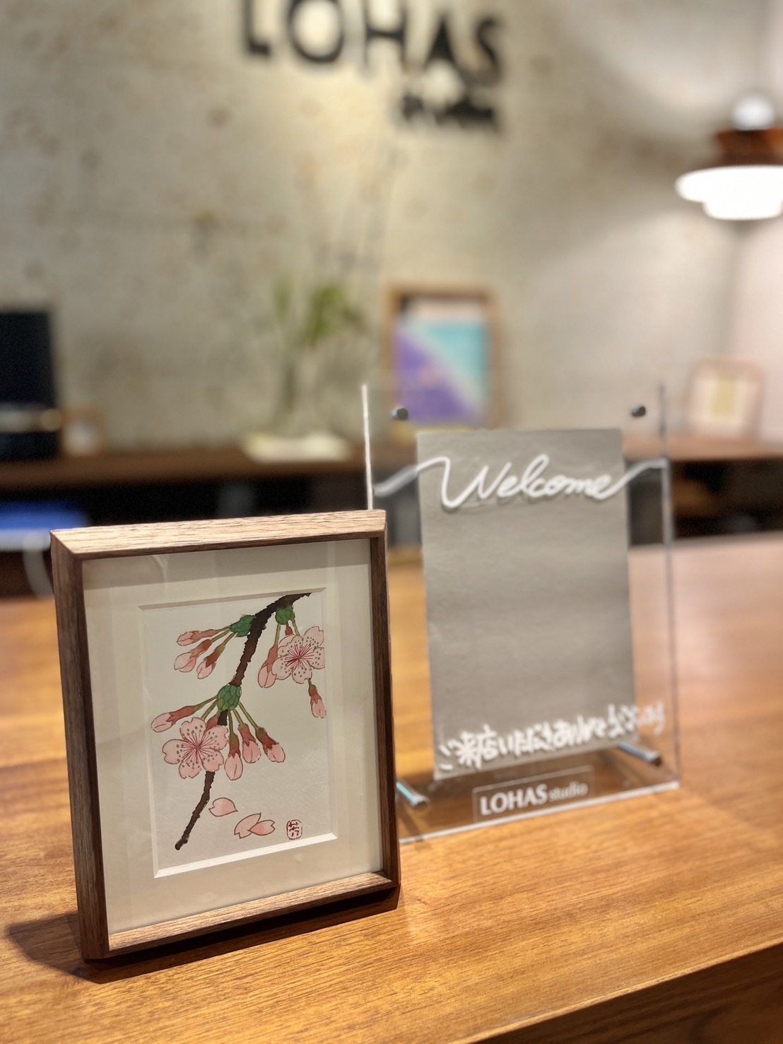 LOHASstudio新宿店・4月のディスプレイ🌸