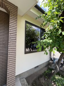 IMG_0050