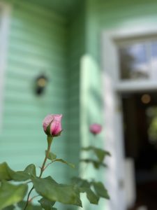 IMG_0180