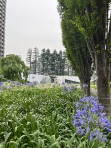 IMG_0478