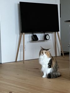 IMG_0881
