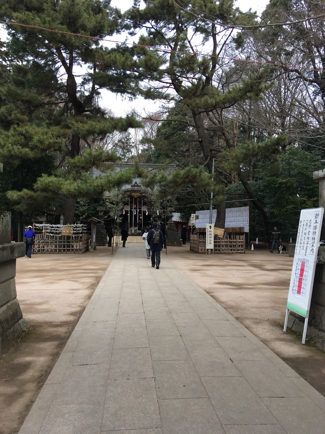 明けましておめでとうございます