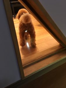 B6F4DA10-9D5C-4464-B6C1-09EA7A467E25