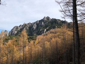 1210B844-A564-4C33-9D4A-FF6A03572FE0