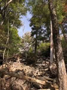 6E92476C-24AE-4DD7-B8DD-4A5F91AA51B9