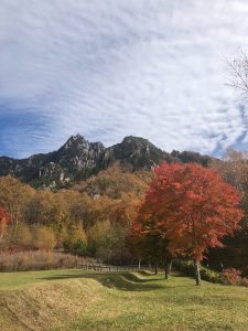 EB2126A2-D857-4038-BBA6-1FA41D0AA7AC