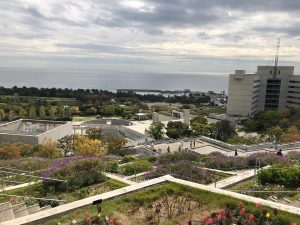 6D4DCA61-2E77-444B-AF85-0BDE32DCAD71