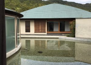 CFA311C6-12E4-42E8-8DD1-9592C6EA6054