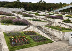 E746137E-38A6-4378-BA9A-D6D7D5CCB1D8