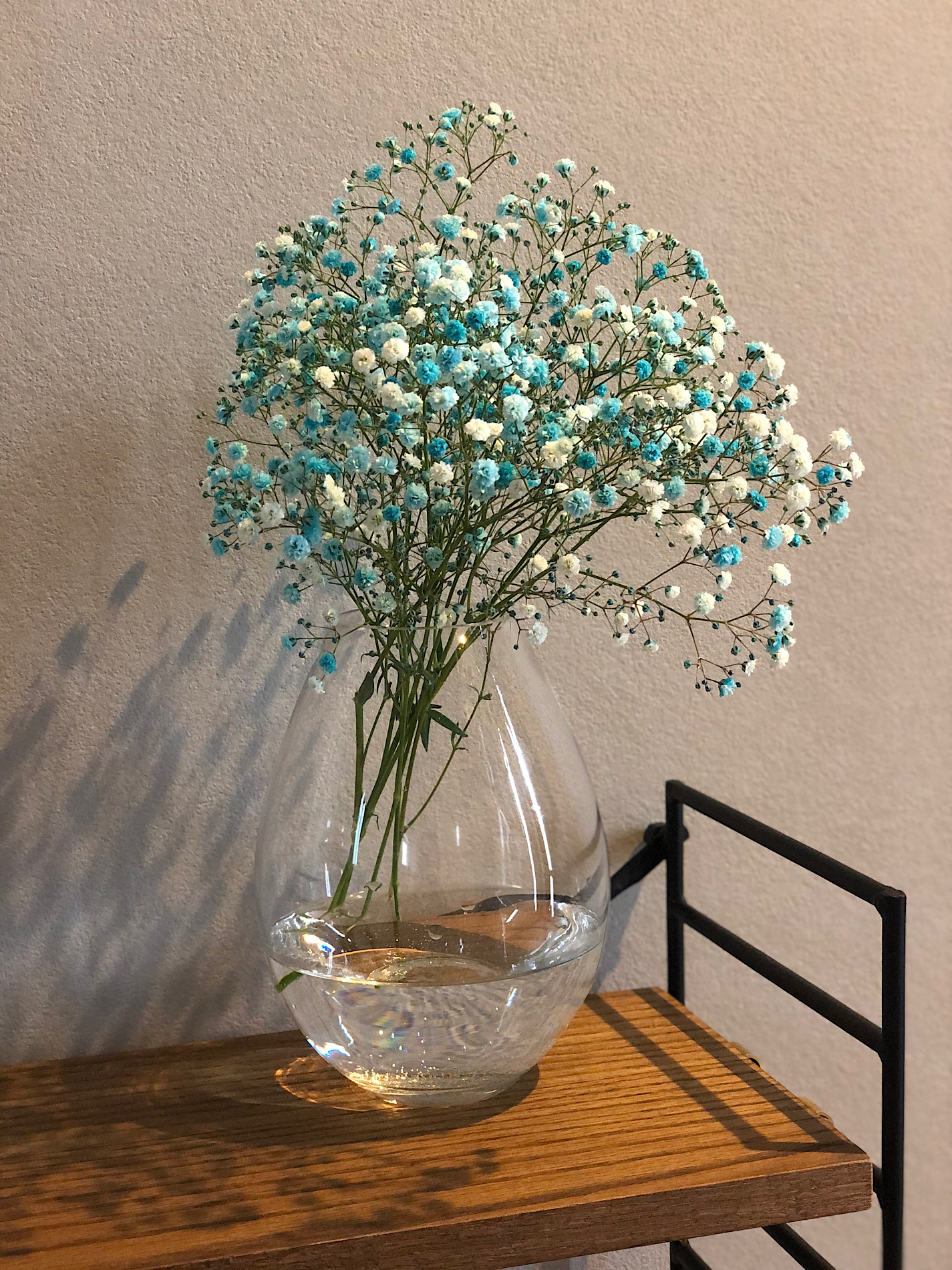 ブルーのかすみ草