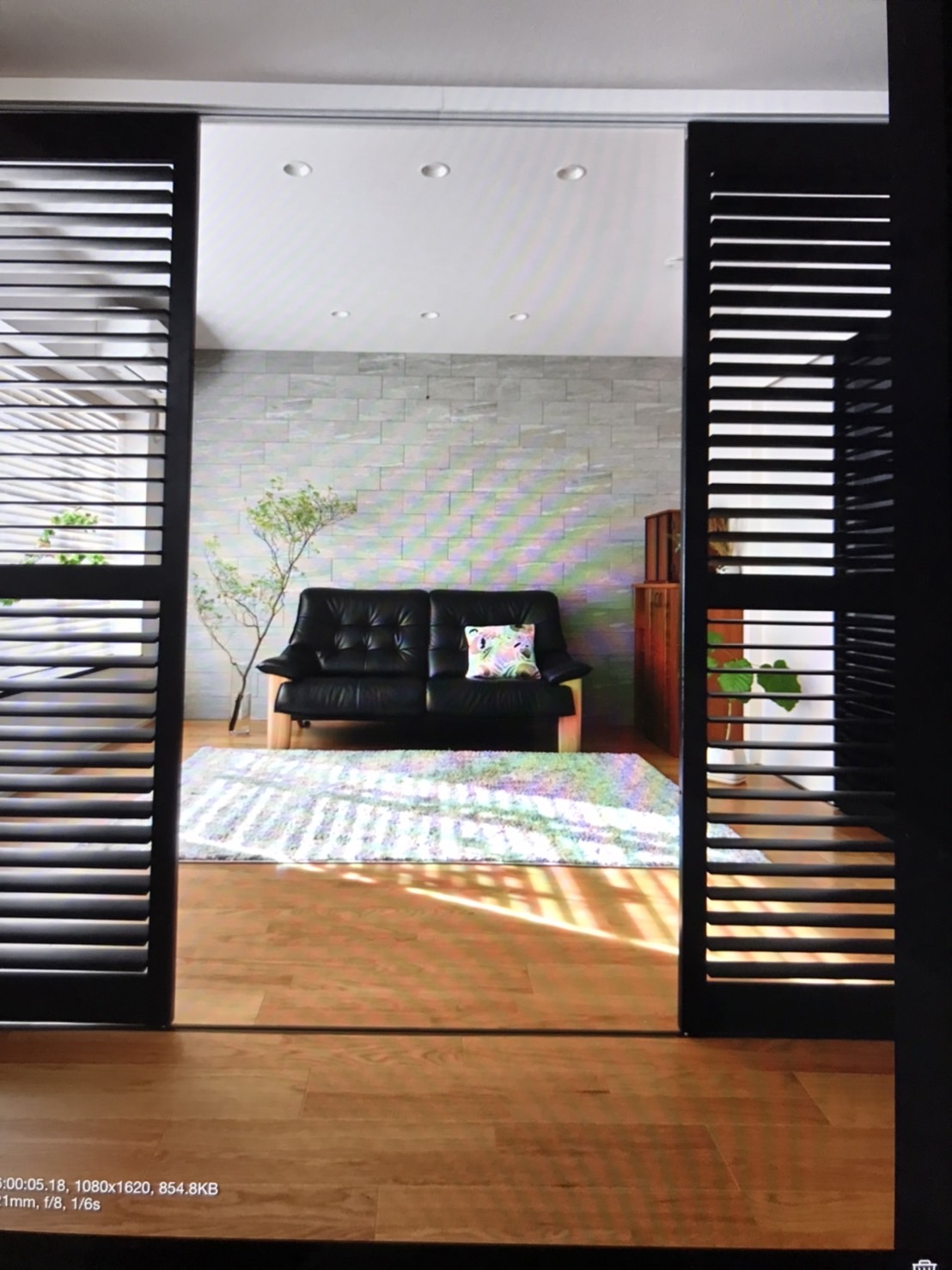 撮影ラッシュ①