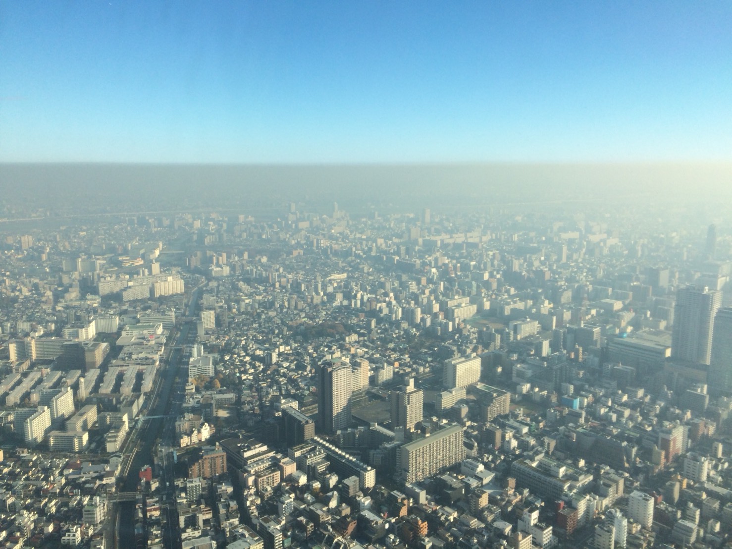 スカイツリーとほっこり絵本