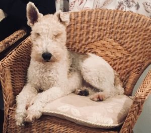 ACBB8D13-E879-44B0-9936-BACC2EA34D41