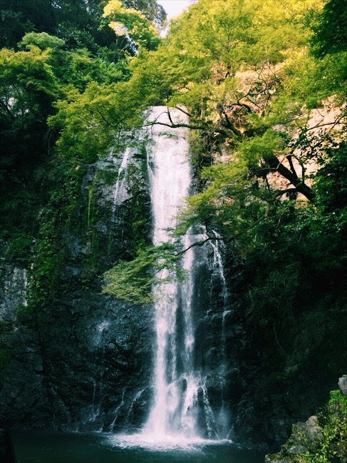 安全な住まいを
