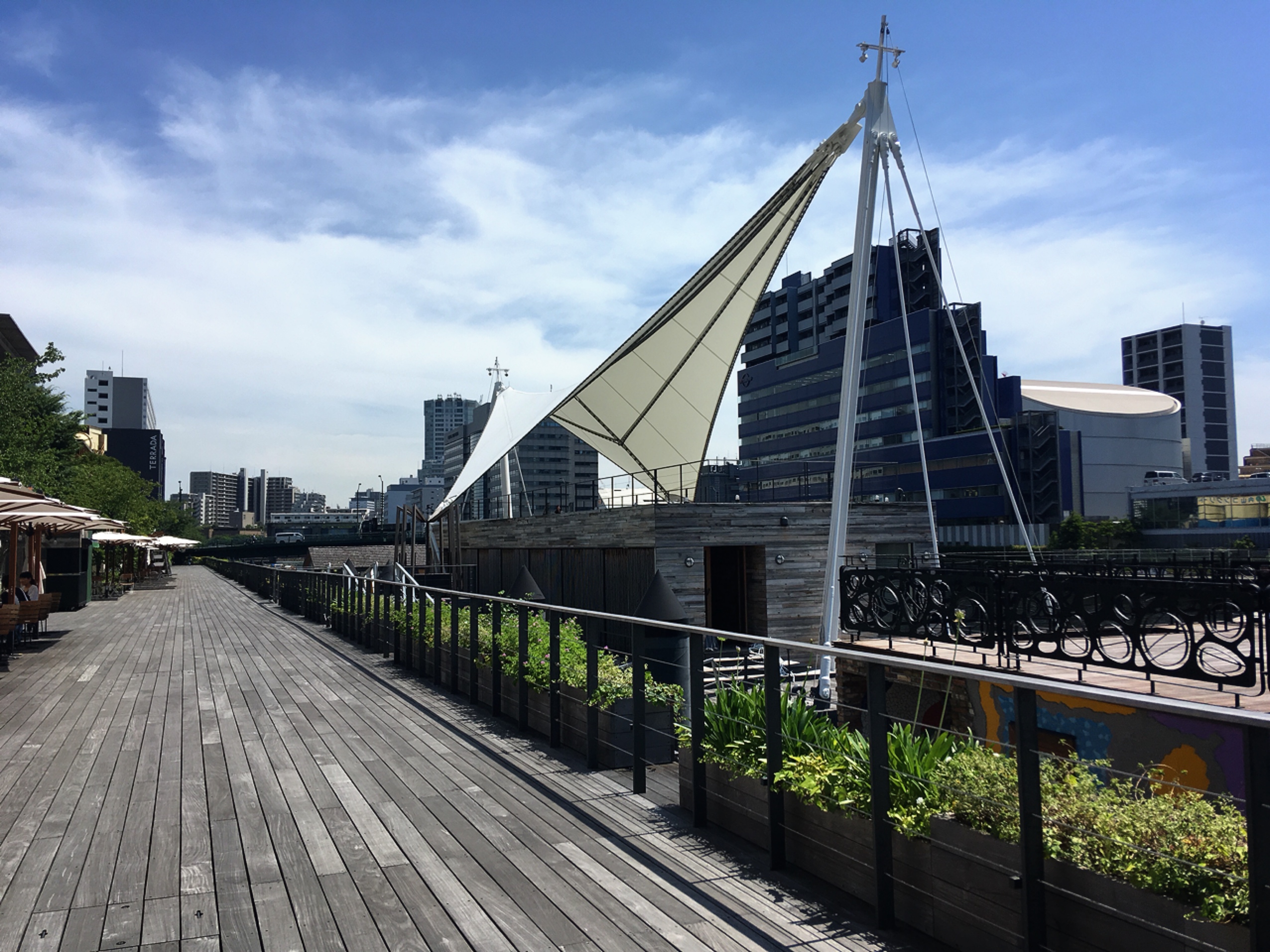天王洲アイルランチ☀︎